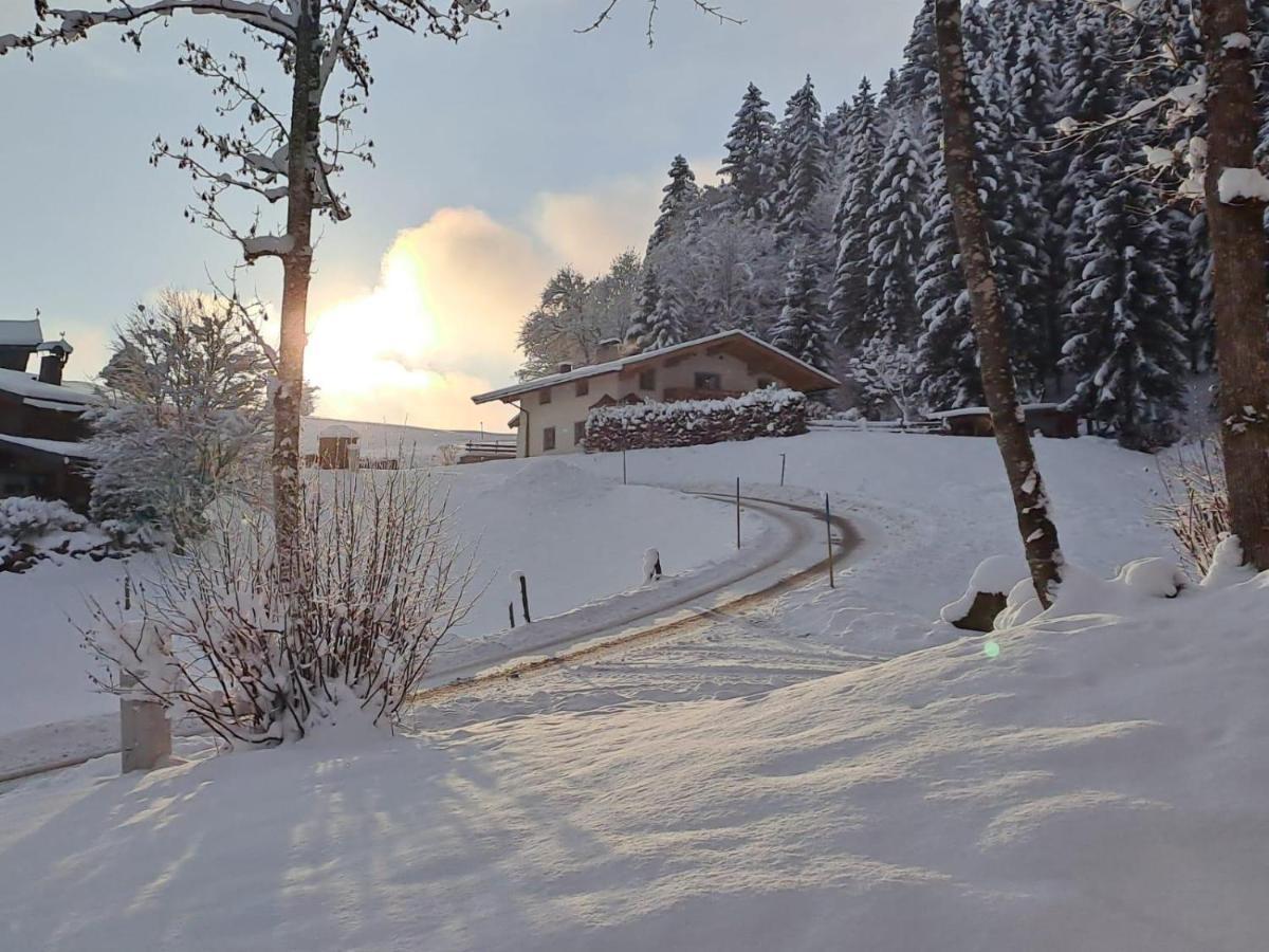 Ferienhaus Hansl Prama Exteriör bild
