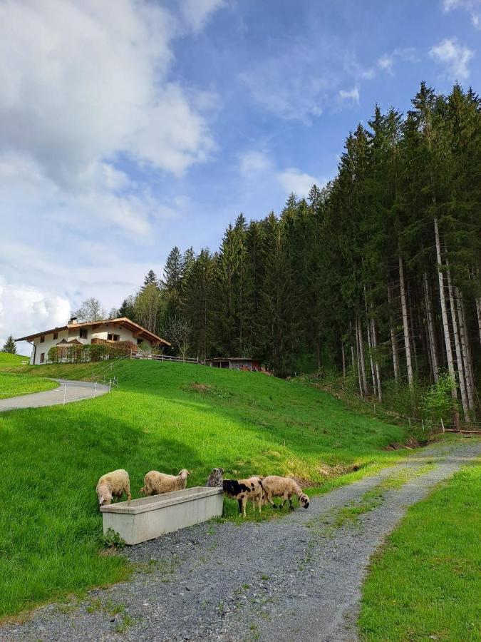 Ferienhaus Hansl Prama Exteriör bild