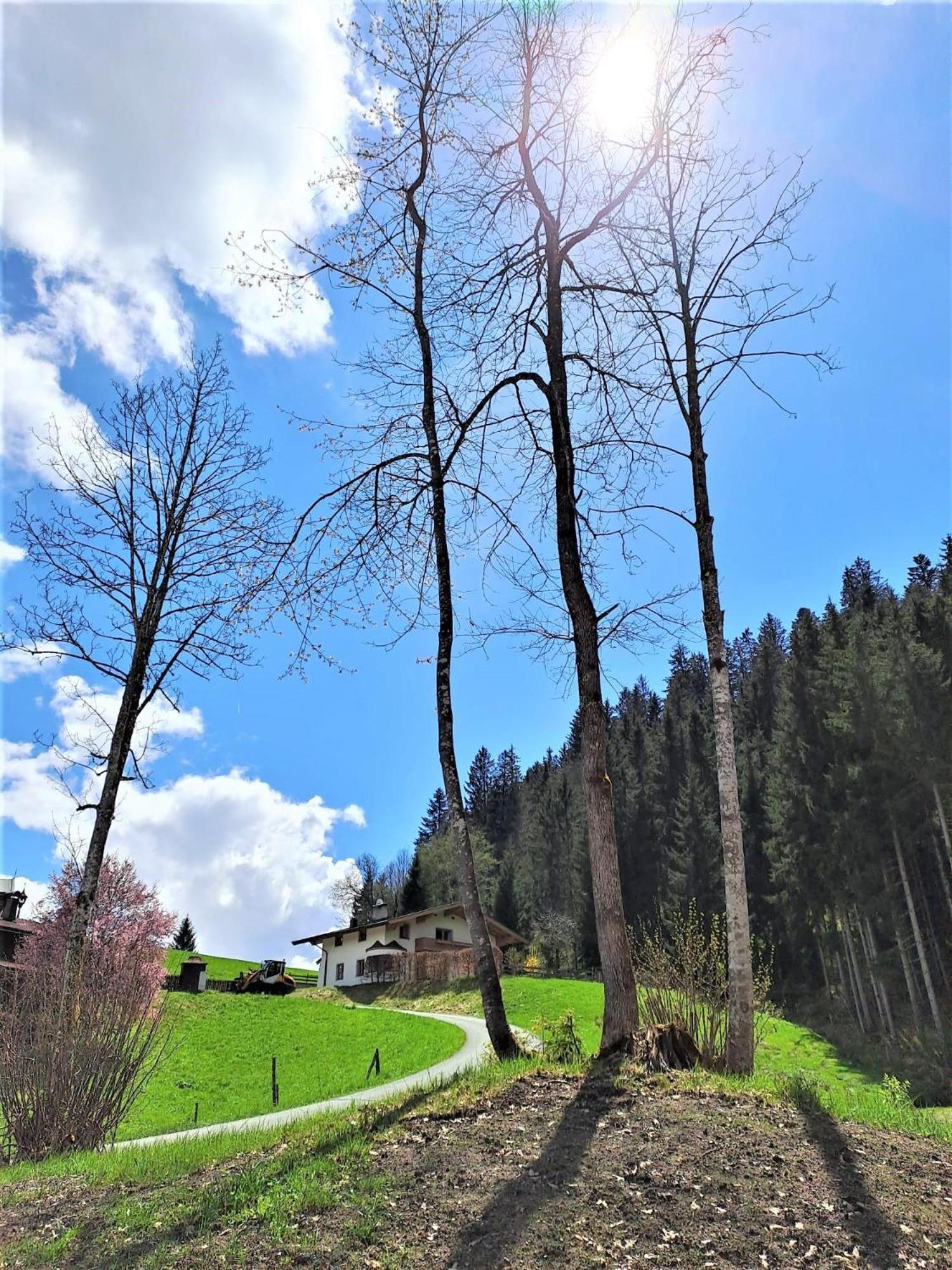 Ferienhaus Hansl Prama Exteriör bild